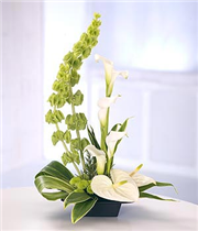 modern classic arrangement